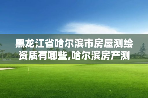 黑龙江省哈尔滨市房屋测绘资质有哪些,哈尔滨房产测绘公司