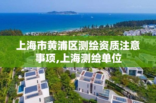 上海市黄浦区测绘资质注意事项,上海测绘单位