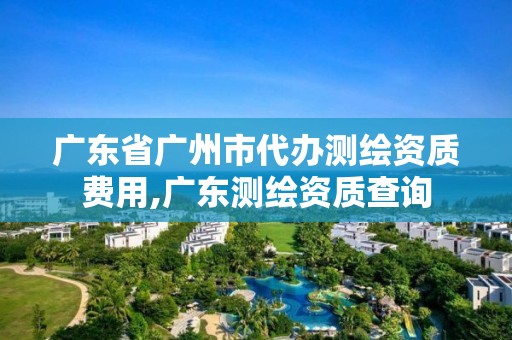 广东省广州市代办测绘资质费用,广东测绘资质查询