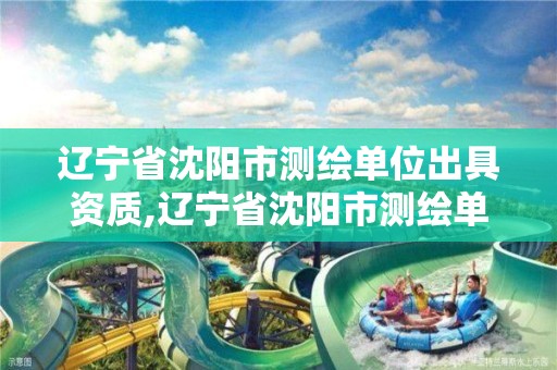 辽宁省沈阳市测绘单位出具资质,辽宁省沈阳市测绘单位出具资质证明