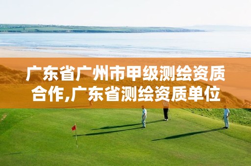 广东省广州市甲级测绘资质合作,广东省测绘资质单位名单