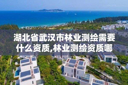 湖北省武汉市林业测绘需要什么资质,林业测绘资质哪里办理