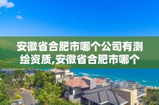 安徽省合肥市哪个公司有测绘资质,安徽省合肥市哪个公司有测绘资质的。