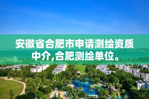 安徽省合肥市申请测绘资质中介,合肥测绘单位。