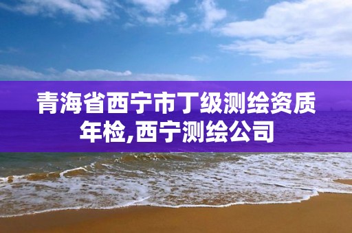 青海省西宁市丁级测绘资质年检,西宁测绘公司