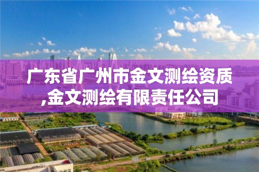 广东省广州市金文测绘资质,金文测绘有限责任公司