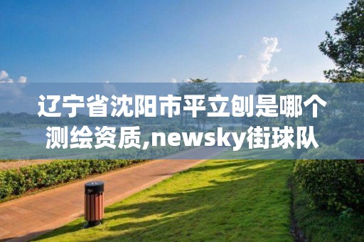 辽宁省沈阳市平立刨是哪个测绘资质,newsky街球队。