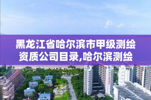 黑龙江省哈尔滨市甲级测绘资质公司目录,哈尔滨测绘院地址