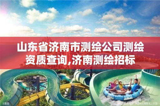 山东省济南市测绘公司测绘资质查询,济南测绘招标