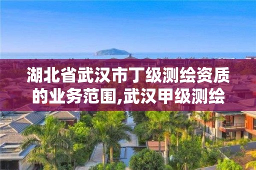 湖北省武汉市丁级测绘资质的业务范围,武汉甲级测绘单位。