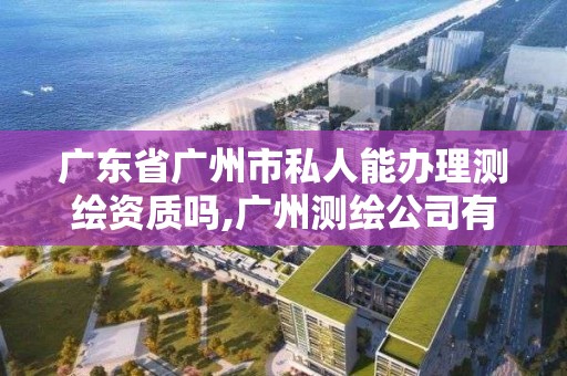 广东省广州市私人能办理测绘资质吗,广州测绘公司有哪些