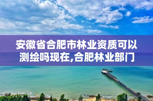 安徽省合肥市可以测绘吗现在,合肥林业部门。