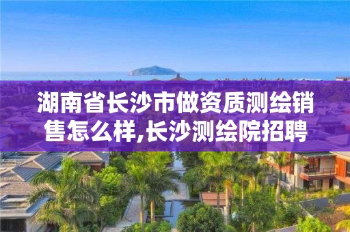 湖南省长沙市做资质测绘销售怎么样,长沙测绘院招聘。