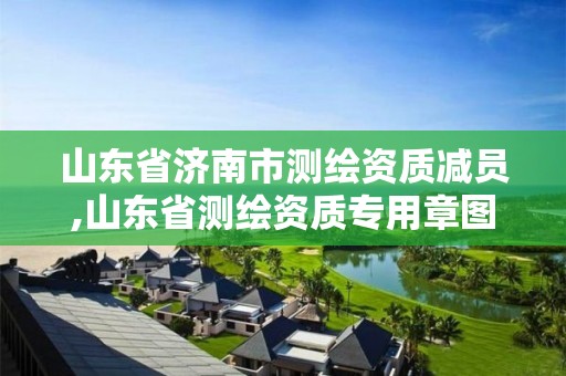 山东省济南市测绘资质减员,山东省测绘资质专用章图片