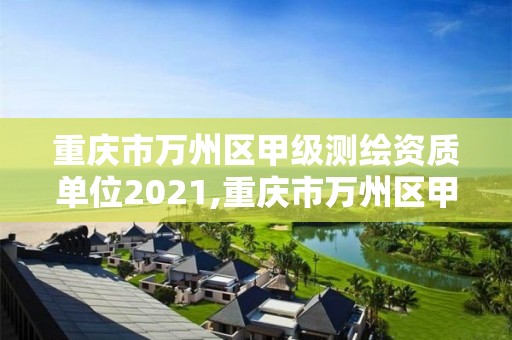 重庆市万州区甲级测绘资质单位2021,重庆市万州区甲级测绘资质单位2021年