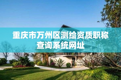 重庆市万州区测绘资质职称查询系统网址