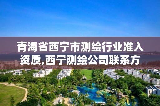 青海省西宁市测绘行业准入资质,西宁测绘公司联系方式