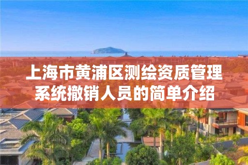 上海市黄浦区测绘资质管理系统撤销人员的简单介绍