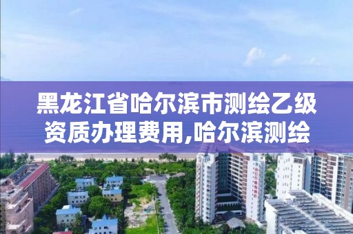 黑龙江省哈尔滨市测绘乙级资质办理费用,哈尔滨测绘有限公司