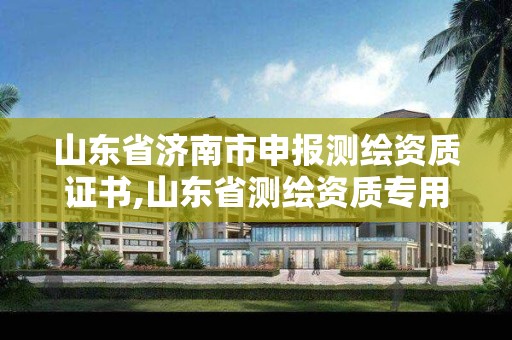 山东省济南市申报测绘资质证书,山东省测绘资质专用章图片