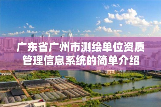 广东省广州市测绘单位资质管理信息系统的简单介绍