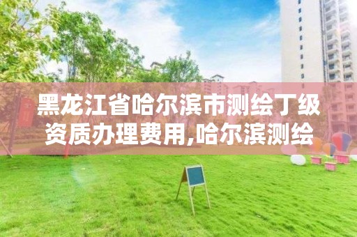 黑龙江省哈尔滨市测绘丁级资质办理费用,哈尔滨测绘地理信息局招聘公告