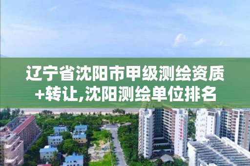 辽宁省沈阳市甲级测绘资质+转让,沈阳测绘单位排名