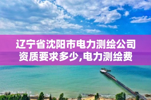 辽宁省沈阳市电力测绘公司资质要求多少,电力测绘费收费标准。