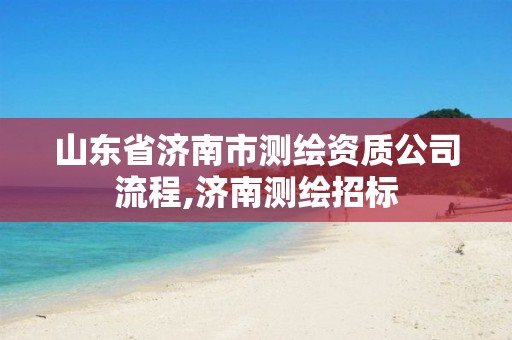 山东省济南市测绘资质公司流程,济南测绘招标