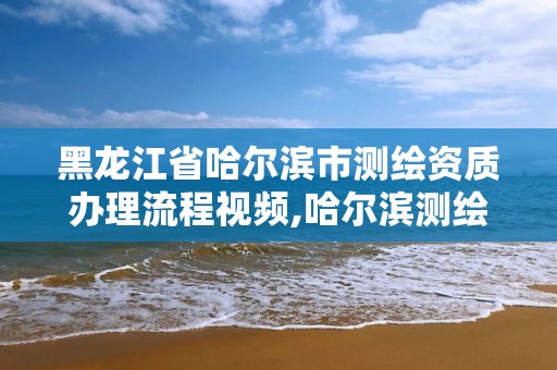 黑龙江省哈尔滨市测绘资质办理流程视频,哈尔滨测绘局幼儿园是民办还是公办