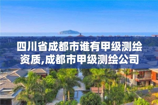 四川省成都市谁有甲级测绘资质,成都市甲级测绘公司