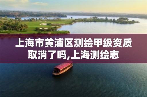 上海市黄浦区测绘甲级资质取消了吗,上海测绘志