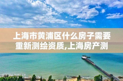 上海市黄浦区什么房子需要重新测绘资质,上海房产测绘规范