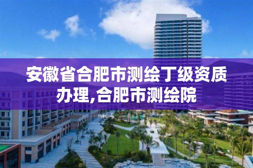 安徽省合肥市测绘丁级资质办理,合肥市测绘院