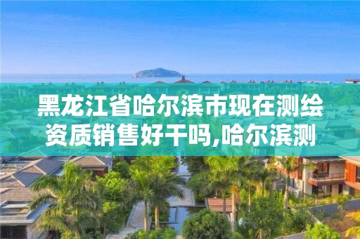 黑龙江省哈尔滨市现在测绘资质销售好干吗,哈尔滨测绘局待遇