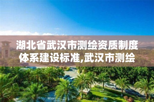 湖北省武汉市测绘资质制度体系建设标准,武汉市测绘管理条例。