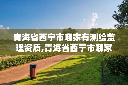 青海省西宁市哪家有测绘监理资质,青海省西宁市哪家有测绘监理资质的