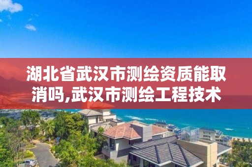 湖北省武汉市测绘资质能取消吗,武汉市测绘工程技术规定