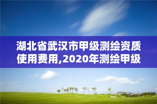 湖北省武汉市甲级测绘资质使用费用,2020年测绘甲级资质条件。