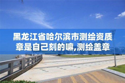 黑龙江省哈尔滨市测绘资质章是自己刻的嘛,测绘盖章。