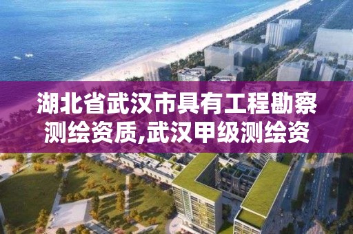 湖北省武汉市具有工程勘察测绘资质,武汉甲级测绘资质公司