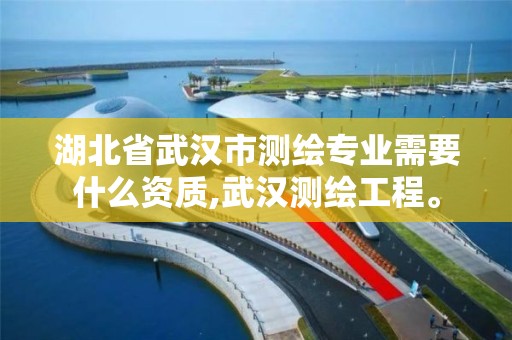 湖北省武汉市测绘专业需要什么资质,武汉测绘工程。