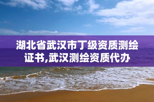 湖北省武汉市丁级资质测绘证书,武汉测绘资质代办