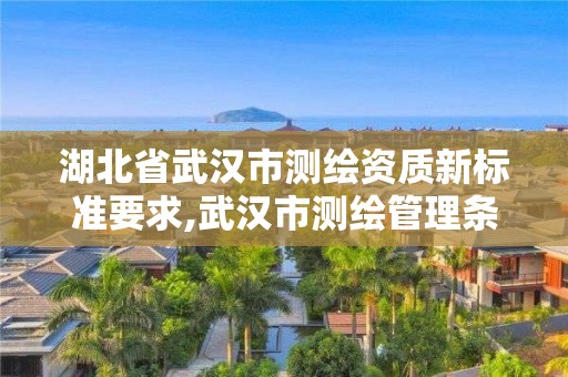 湖北省武汉市测绘资质新标准要求,武汉市测绘管理条例