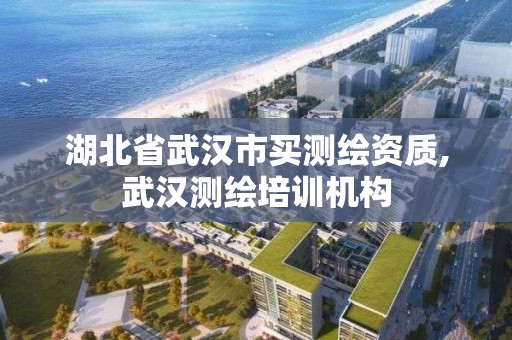 湖北省武汉市买测绘资质,武汉测绘培训机构