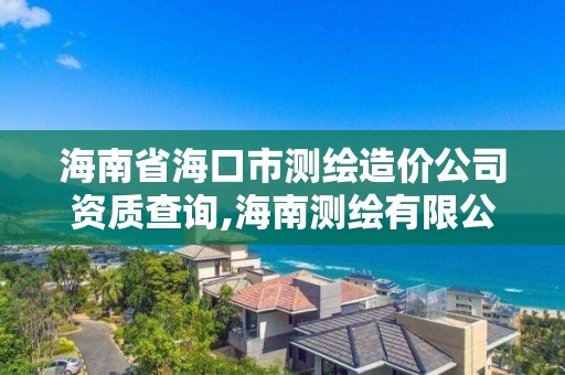 海南省海口市测绘造价公司资质查询,海南测绘有限公司