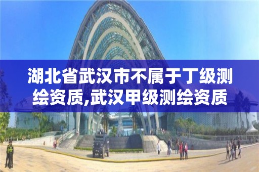 湖北省武汉市不属于丁级测绘资质,武汉甲级测绘资质名录。