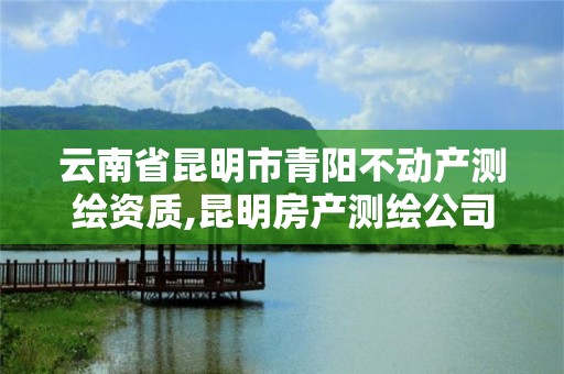 云南省昆明市青阳不动产测绘资质,昆明房产测绘公司