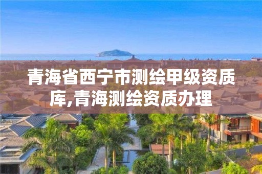 青海省西宁市测绘甲级资质库,青海测绘资质办理