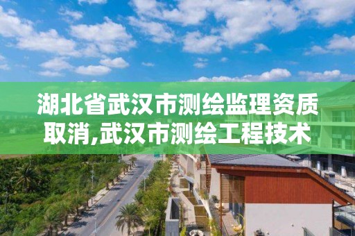 湖北省武汉市测绘监理资质取消,武汉市测绘工程技术规定